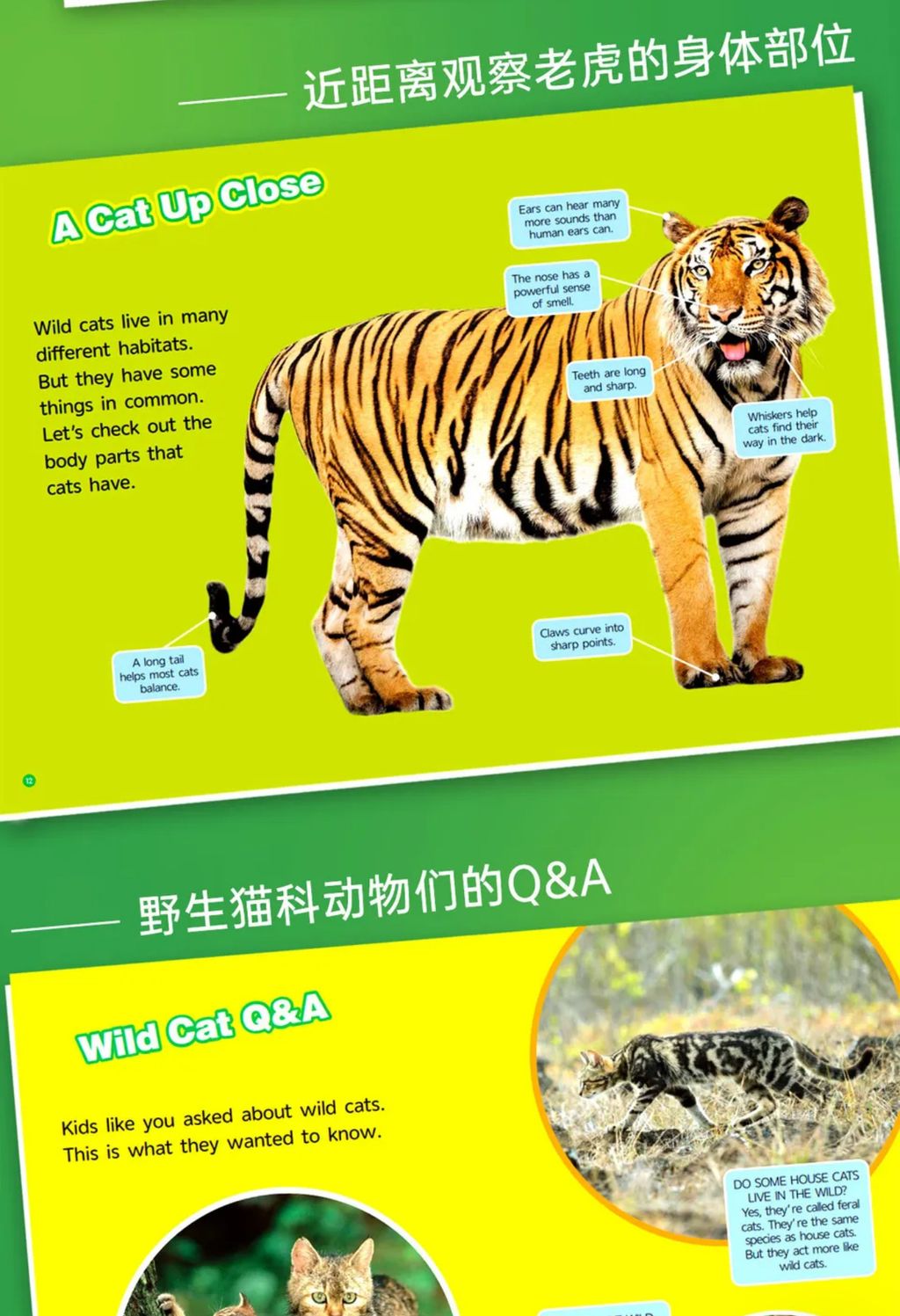 image_260136BD-39AC-4063-A293-FD69C9774459_1772035939