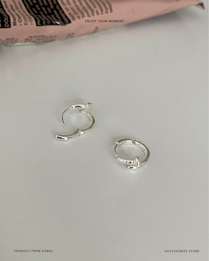 Pride' earrings (2)