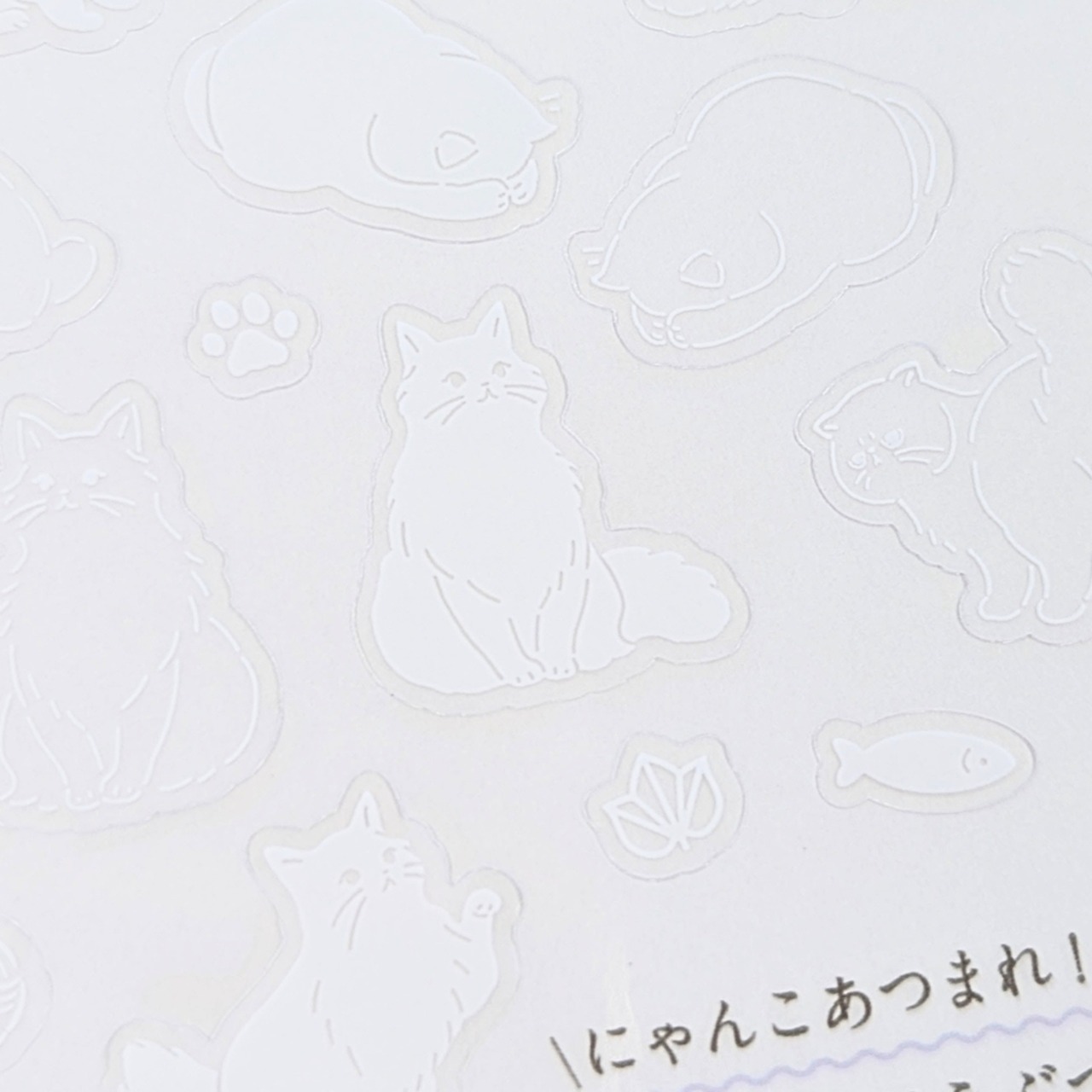 item6_pic11