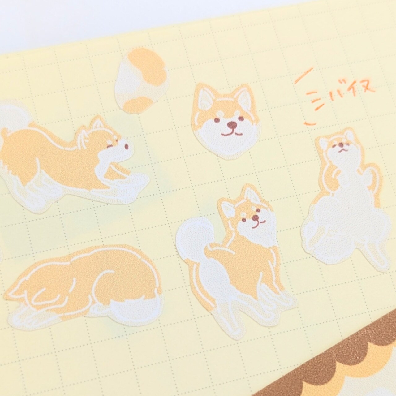 柴犬