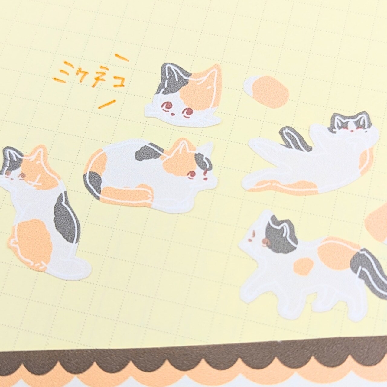 三花貓