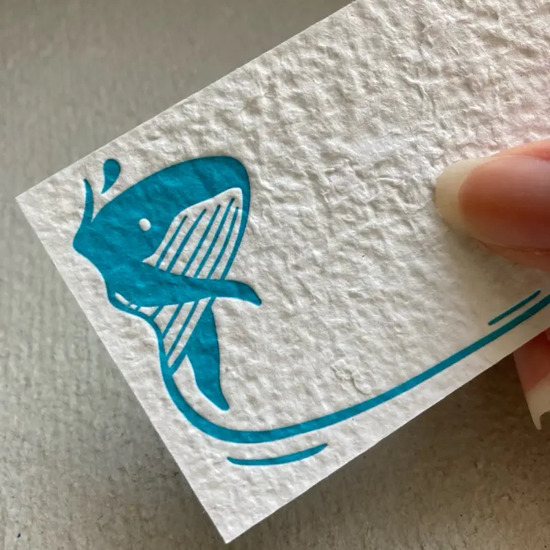 鯨魚