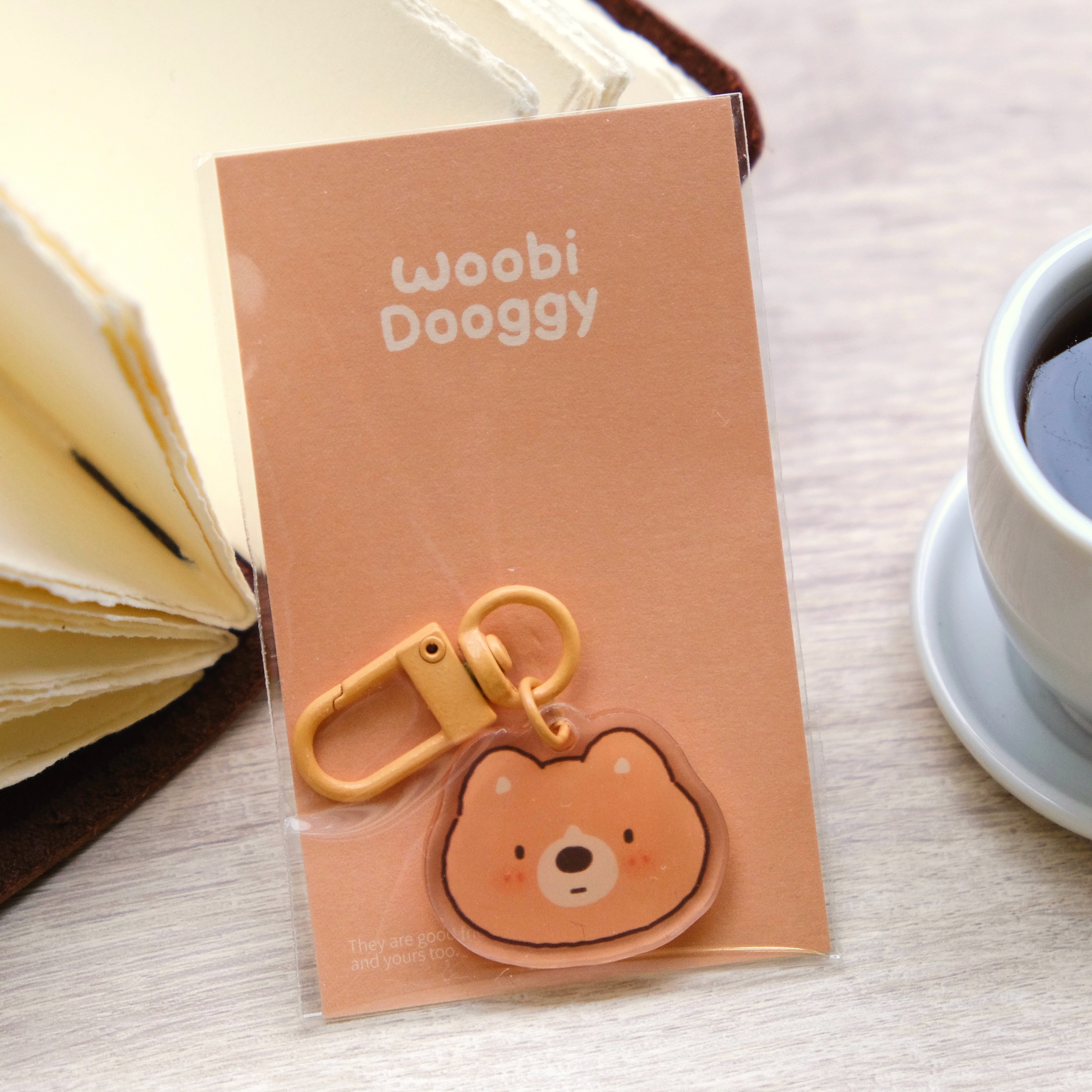 copy_CF418046-D44F-4A21-99F1-B9FBB250FA25