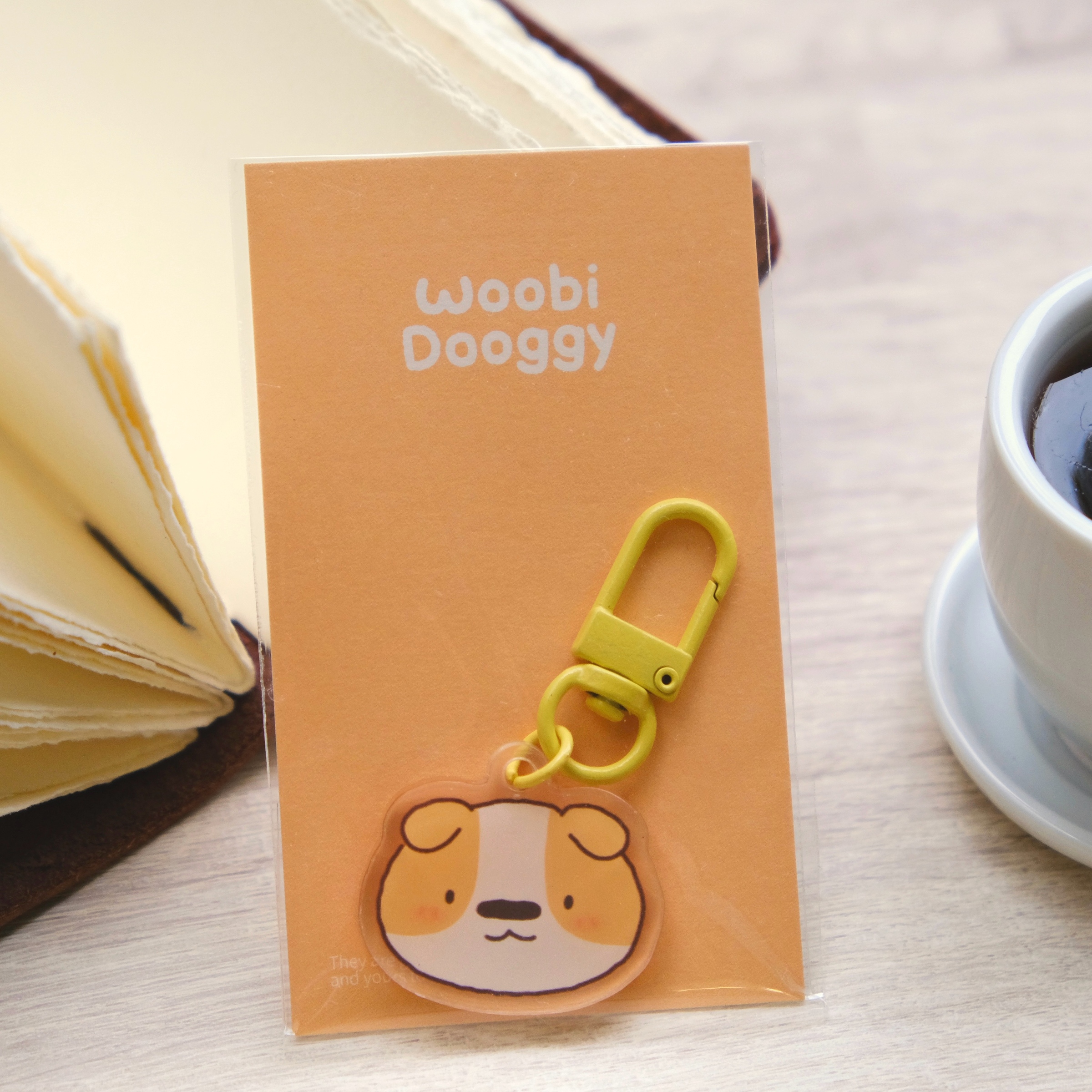 copy_788673A8-A6CC-4879-8418-63BF870B965D