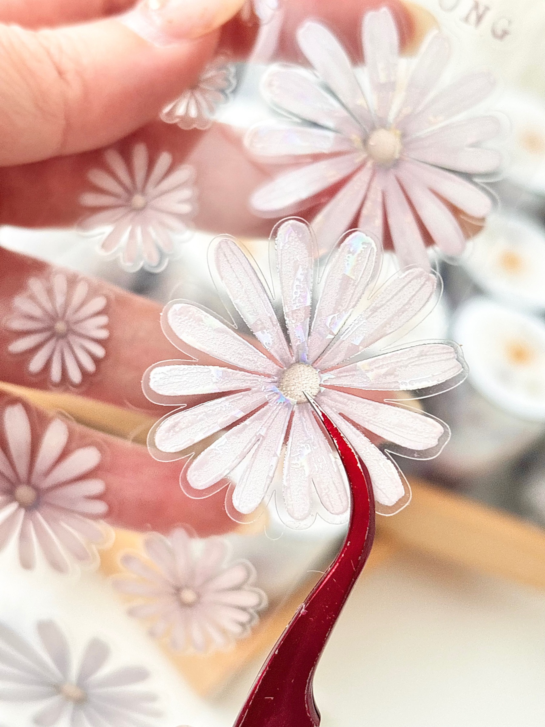 imgi_85_KakaoTalk_20251121_082850773_06