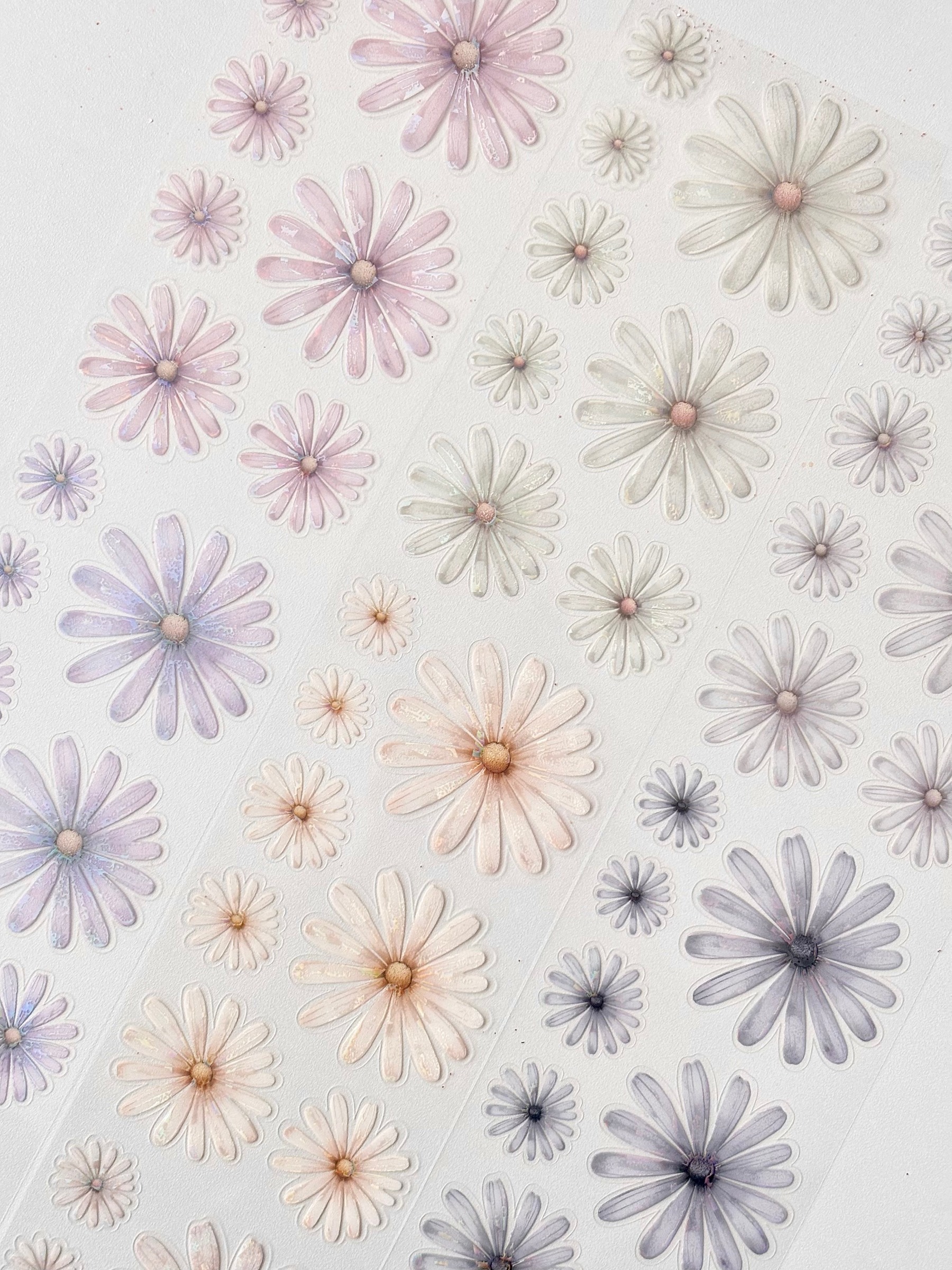 imgi_83_KakaoTalk_20251121_082850773_03