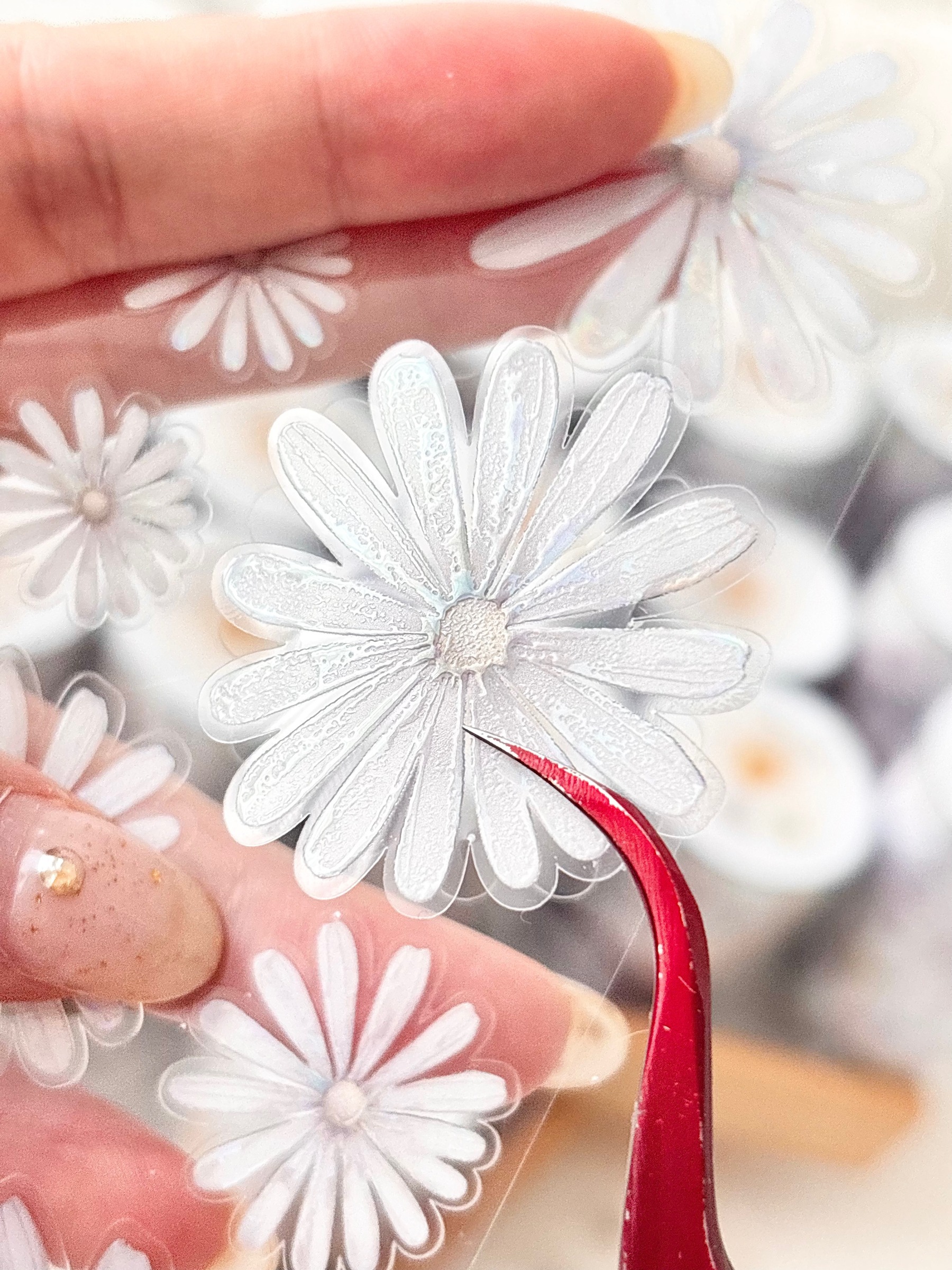 imgi_89_KakaoTalk_20251121_082850773_07