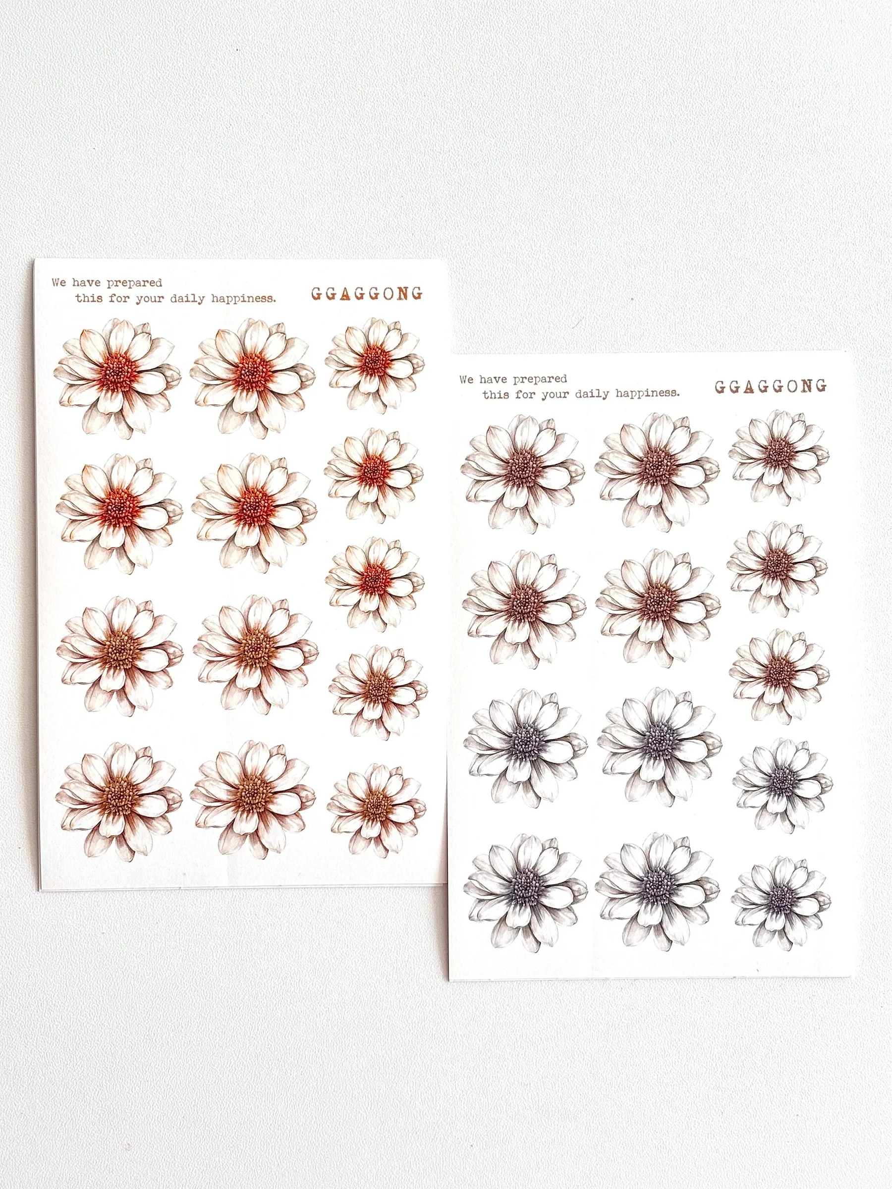 imgi_77_KakaoTalk_20251225_234437148_02