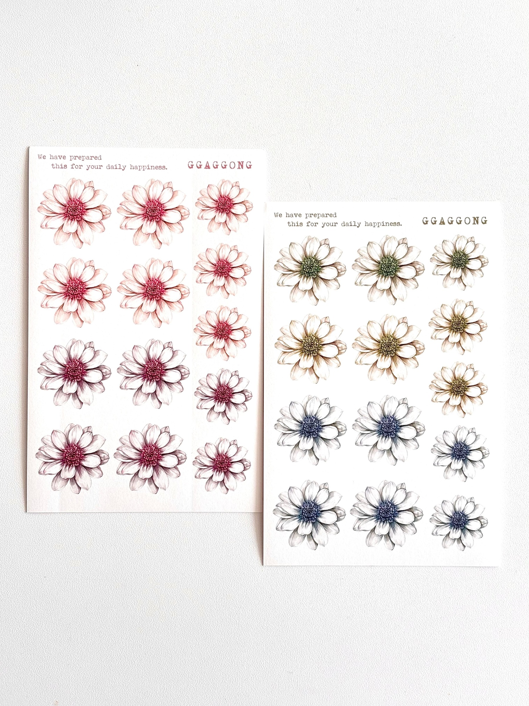 imgi_75_KakaoTalk_20251225_234437148_01