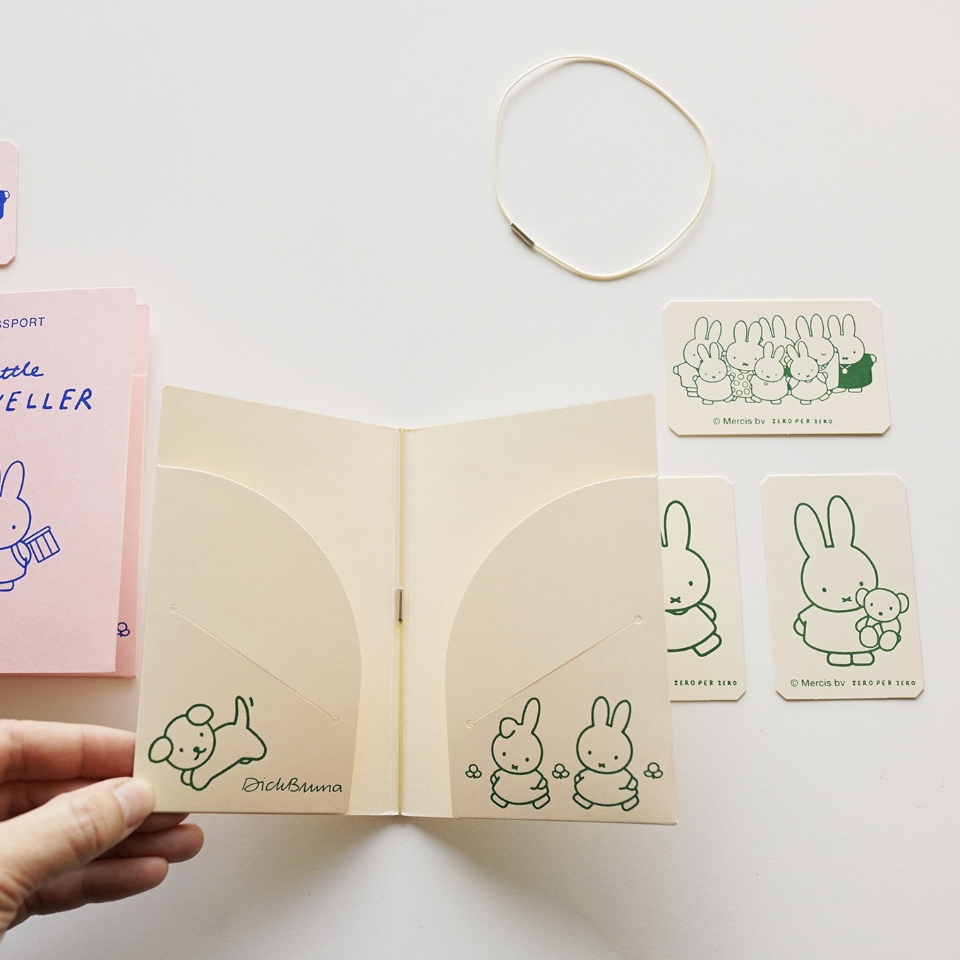 miffyPassport2-snap2