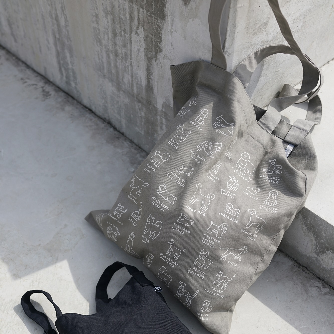 ecobag-DOG-Dictionary-GRAY-snap8