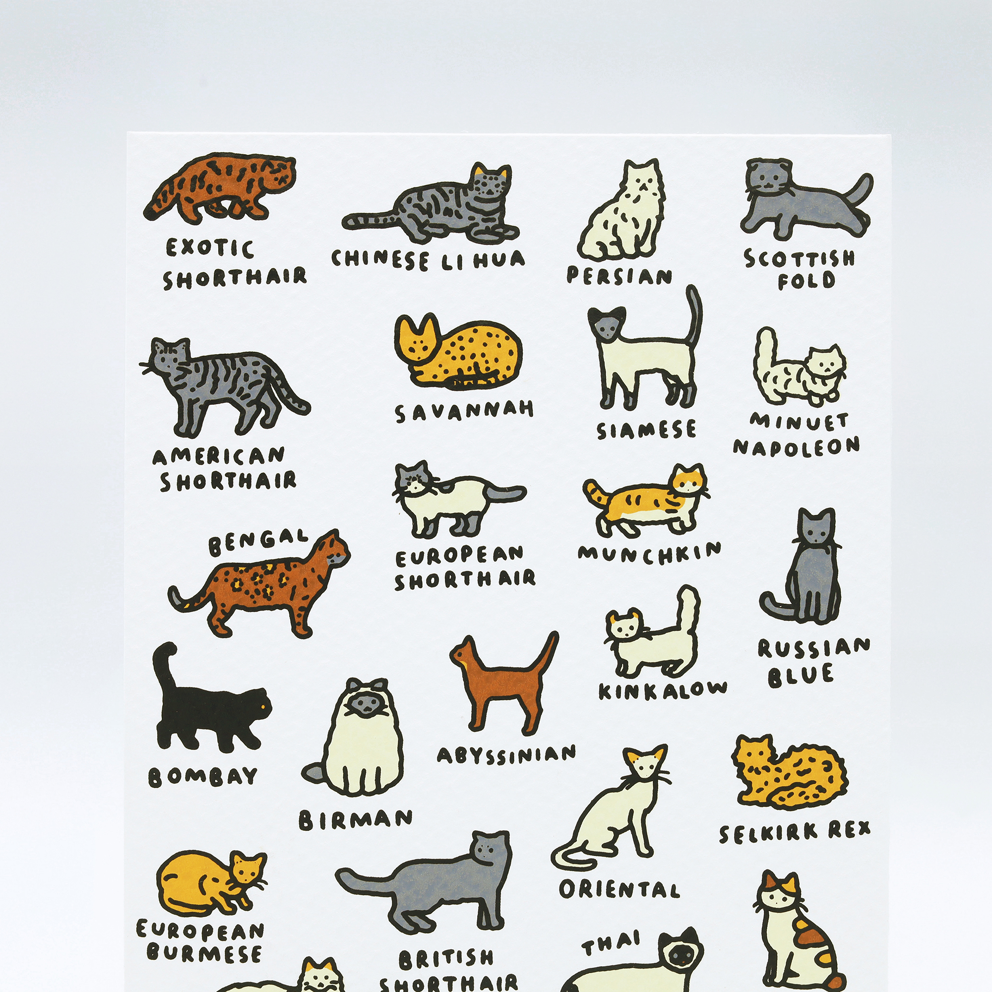 silkscreenpostcard-cat-dictionary1-snap2