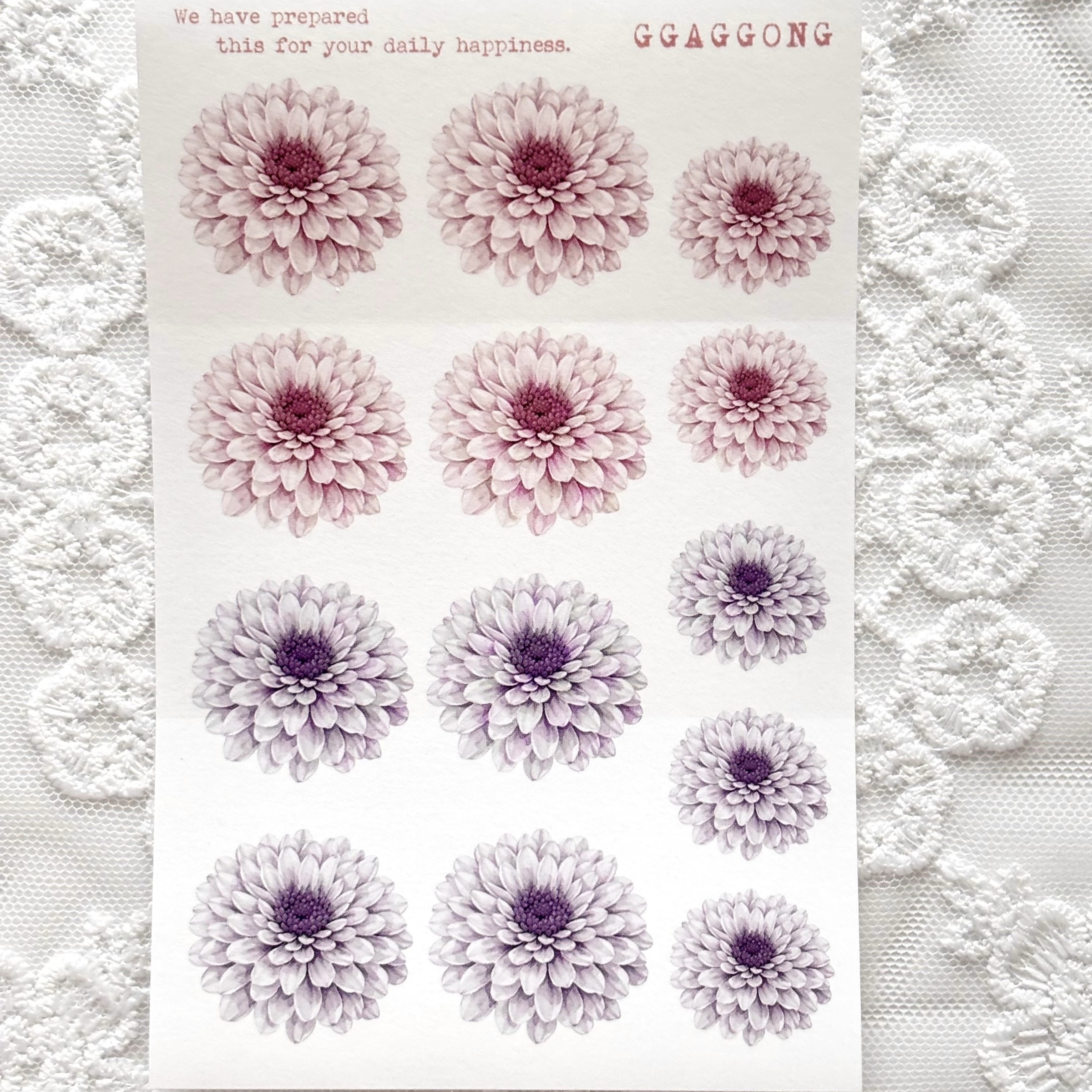 imgi_65_KakaoTalk_20260129_211208417_01