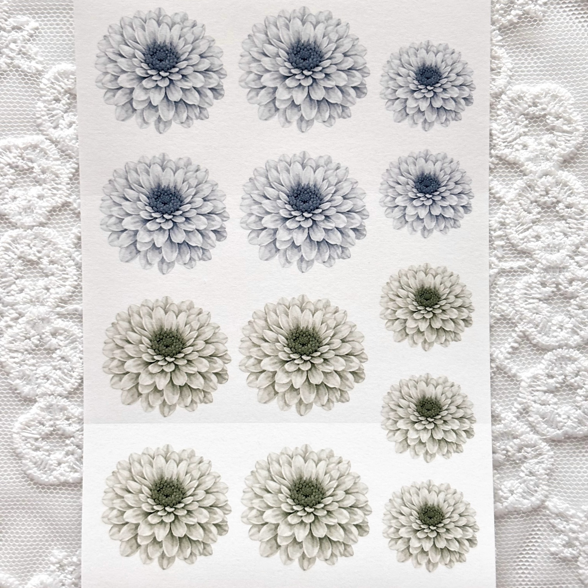 imgi_67_KakaoTalk_20260129_211208417_02