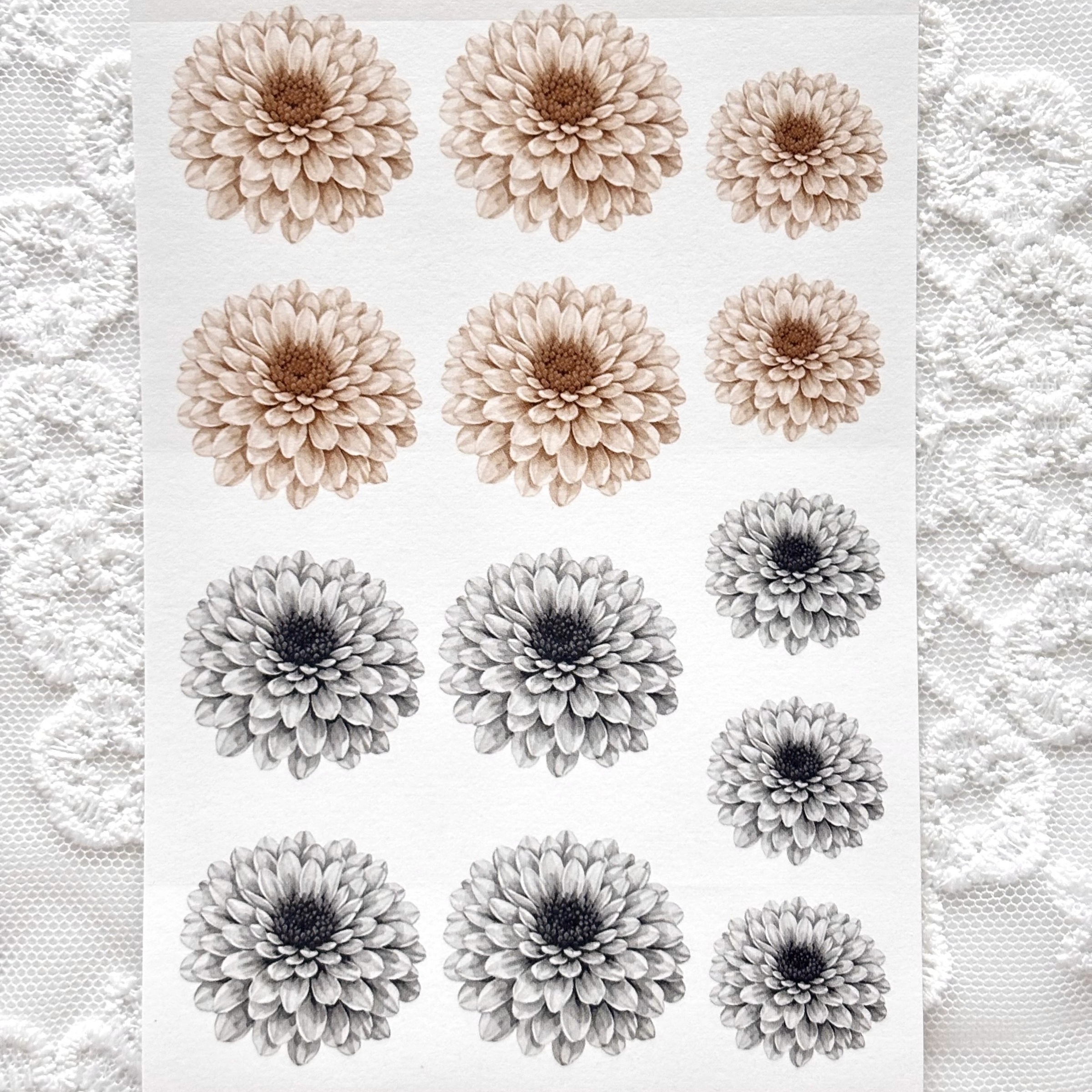 imgi_69_KakaoTalk_20260129_211208417_03