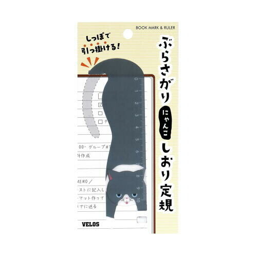 小灰貓