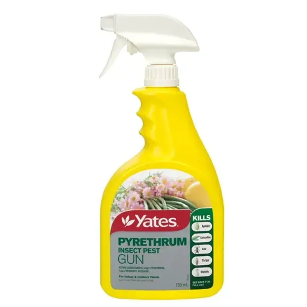 39306_yates-pyrethrum-rtu_750ml_fop_nd4gmd (1)