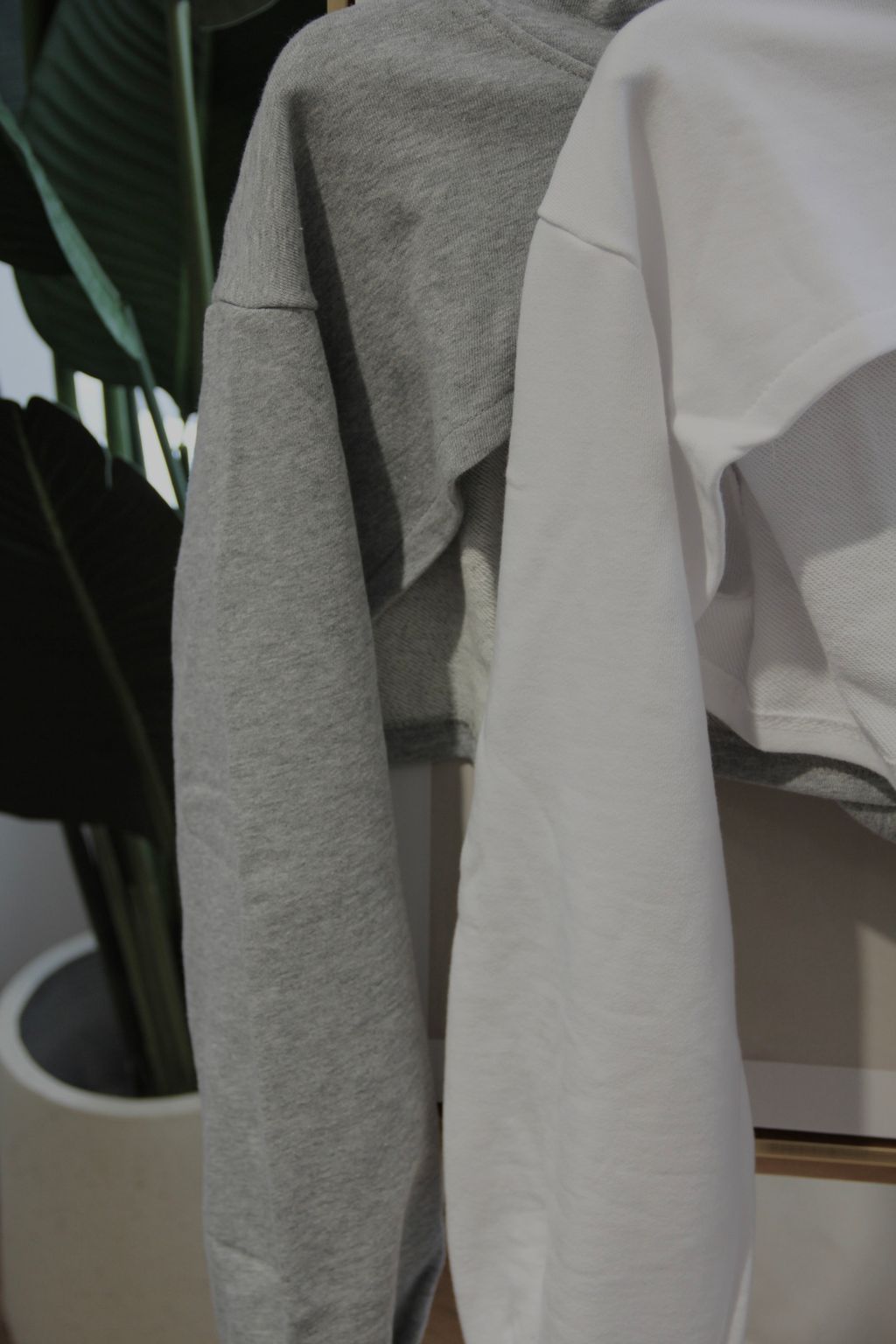 IMG_2477_Original-1708147809538