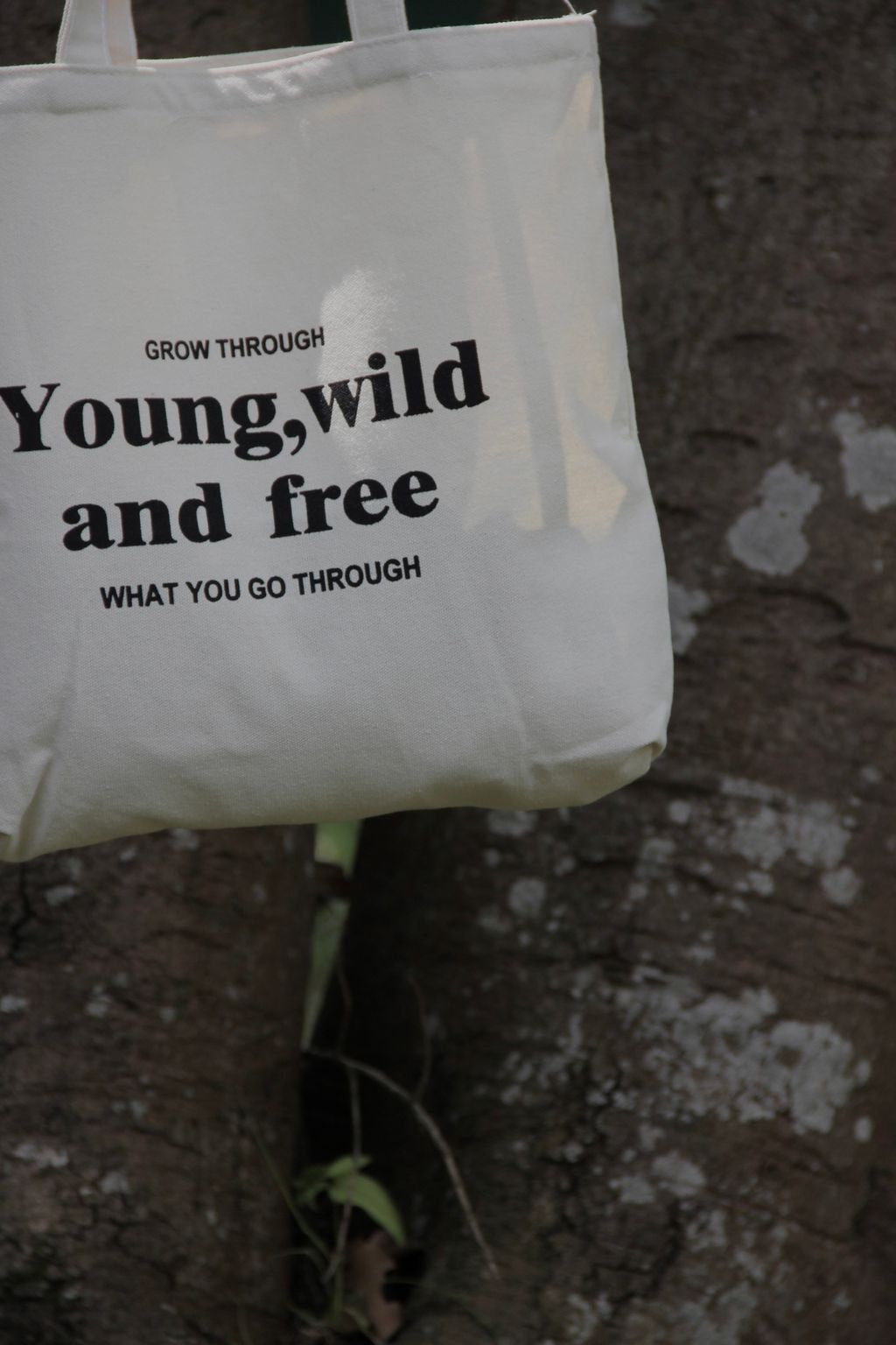 IMG_0748_Original-1713972754511