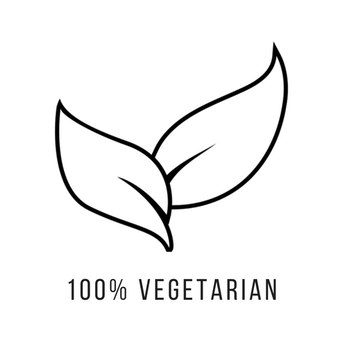 100% VEGETARIAN.png