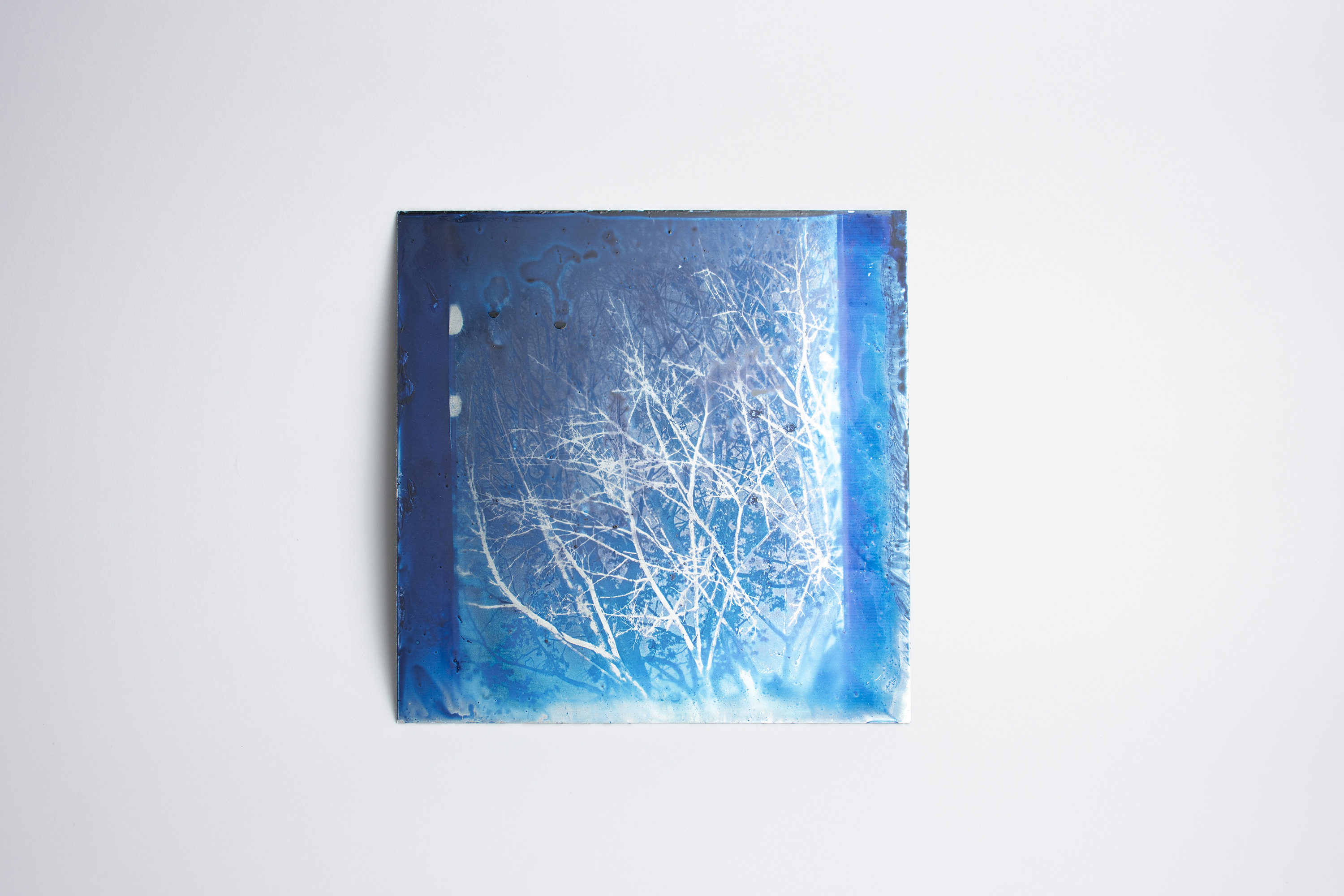 《 Oxidizing body 》Cyanotype on metal plate , 2021