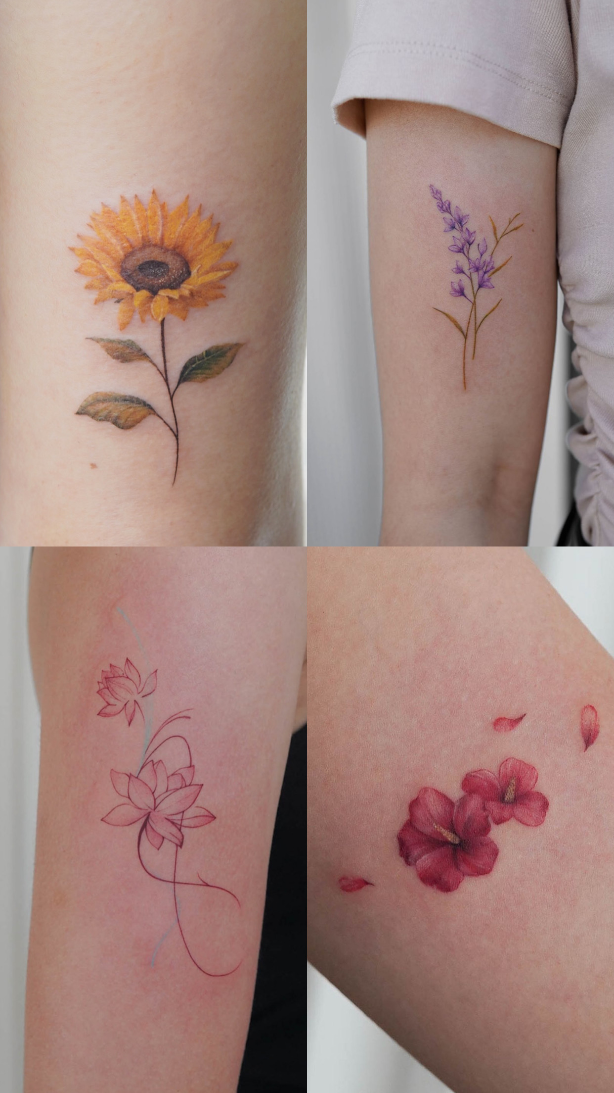 2B060522-B22D-4C68-A53C-E7B2A1A4E213