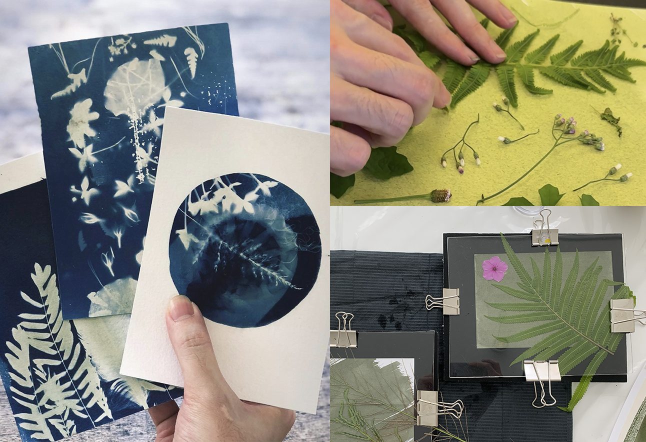 Borneo Nature on a paper  | Space Studio