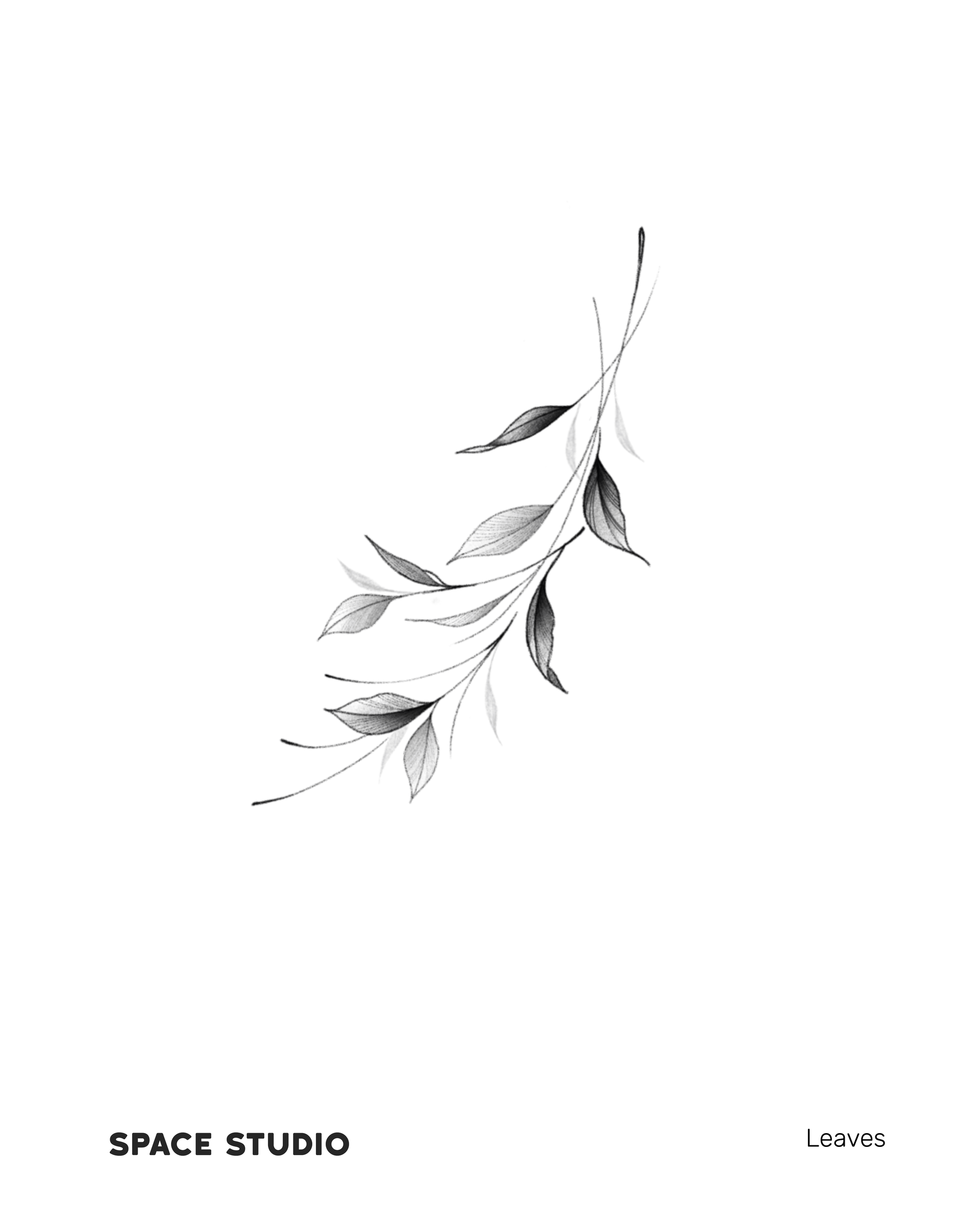 Premium Vector | Tropical leaf icon logo design black and white decal  stencil tattoo flat vector illustration