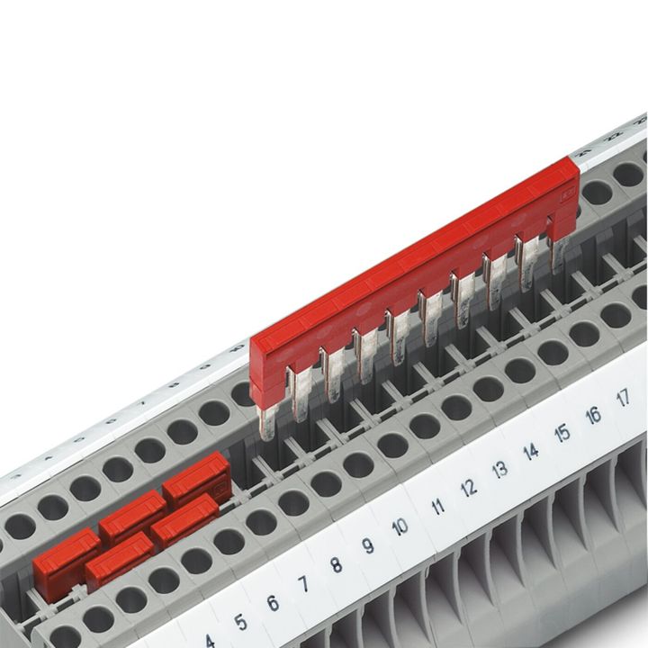 FBS2-6_1