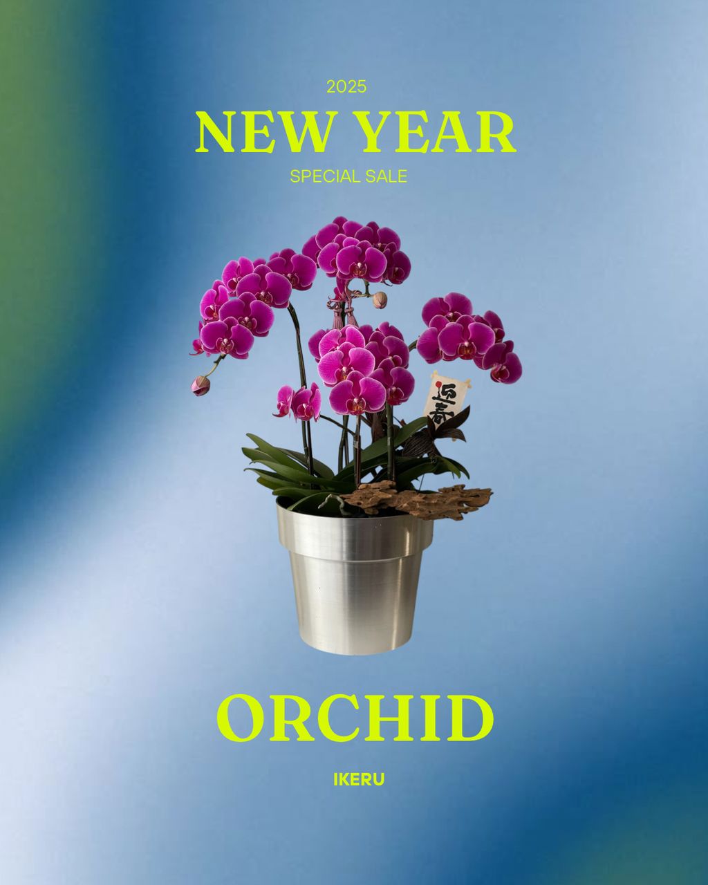 Skincare Instagram Story in Future In Motion Style 的複本 (1080 x 1350 像素)