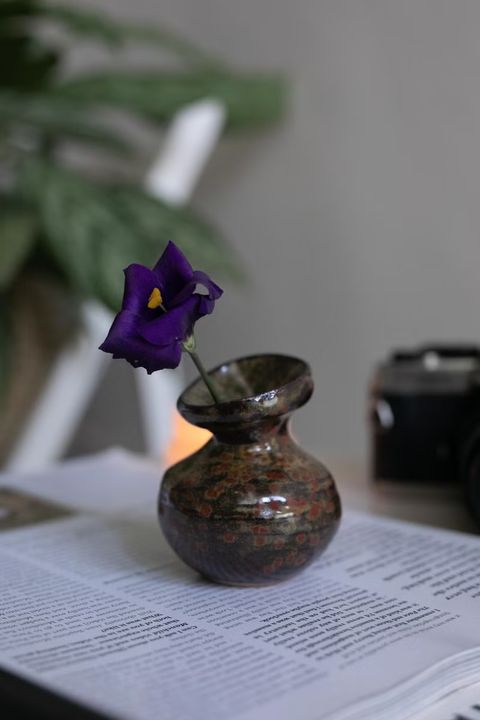 紅斑圓領小花器