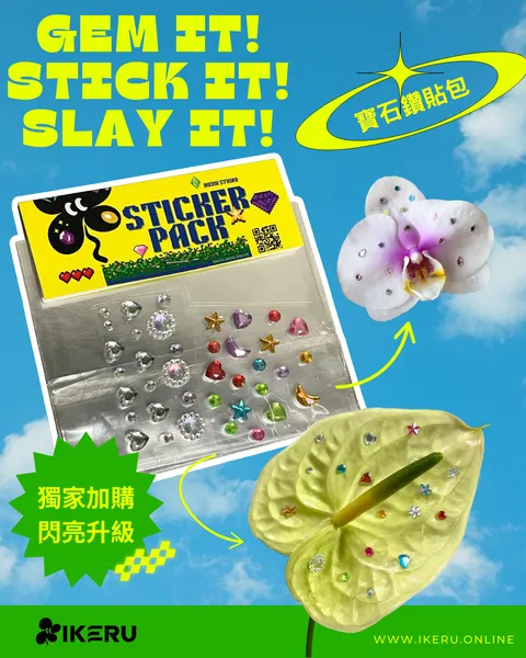 貼紙鑽包加購