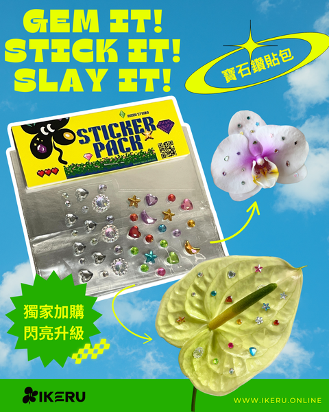 貼紙鑽包加購