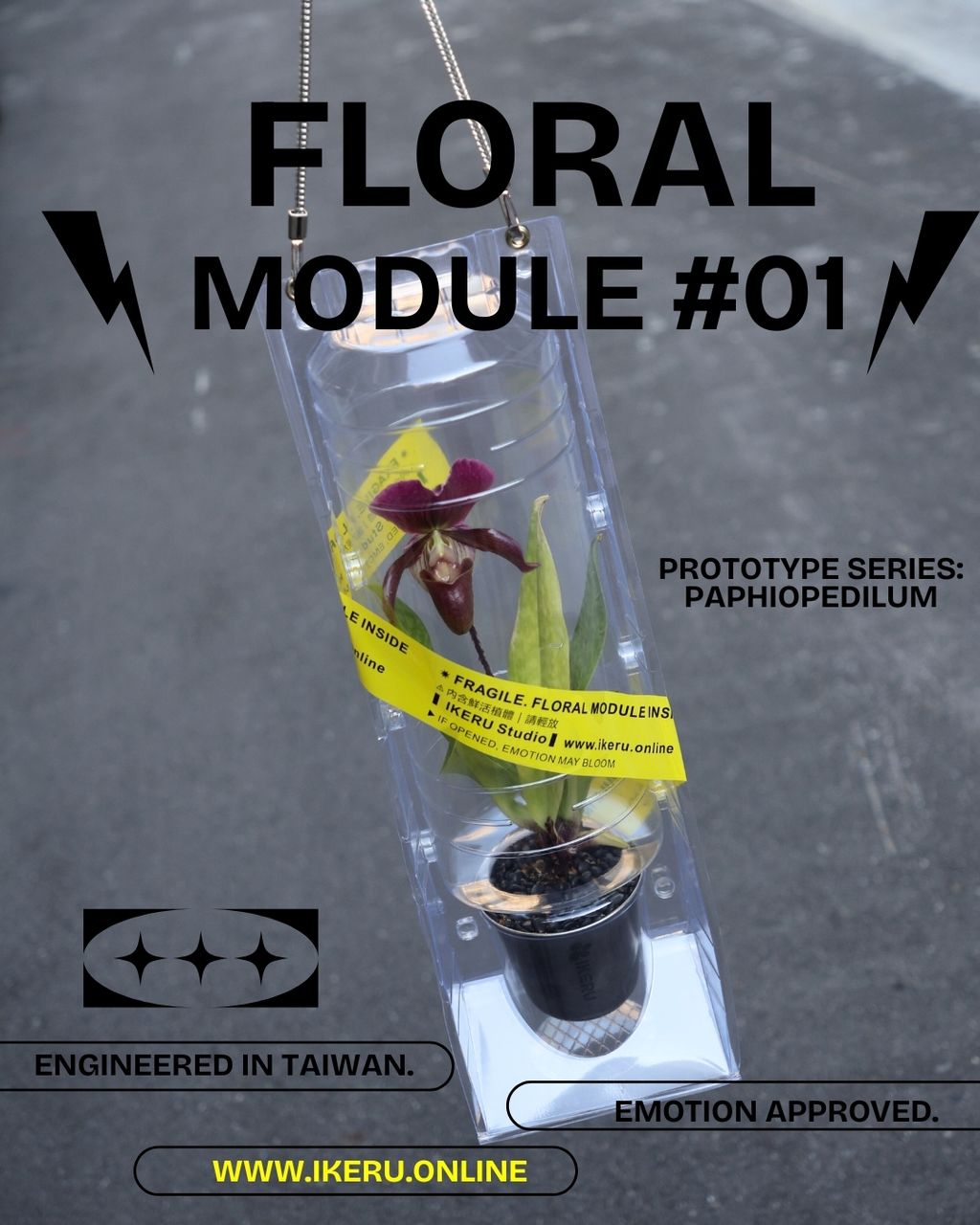 FLORAL MODULE #01!