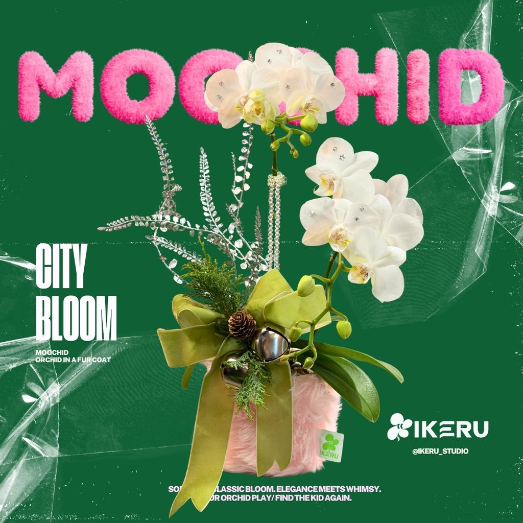 耶誕毛奇朵 毛字版