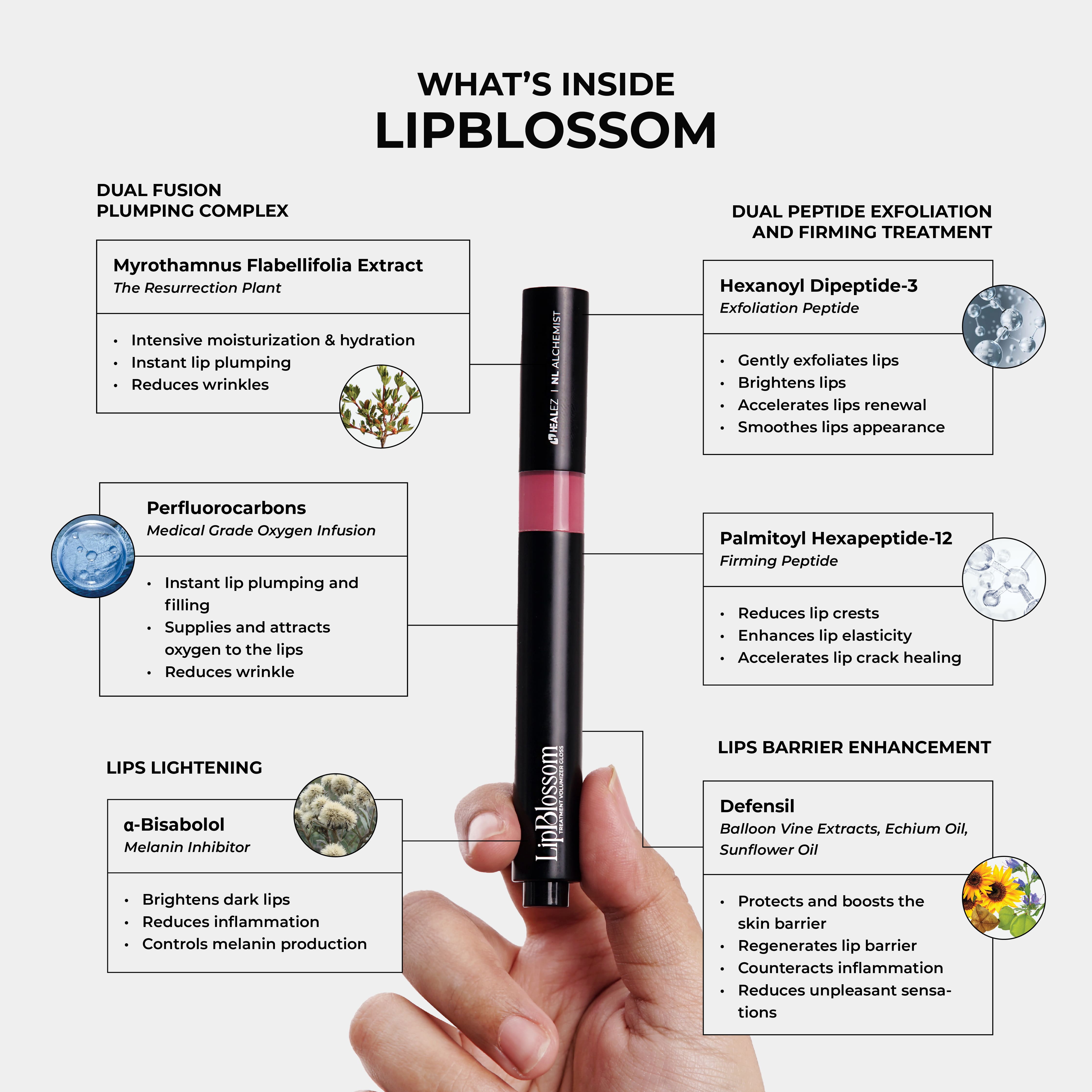 LipBlossom Product Catalogue-02