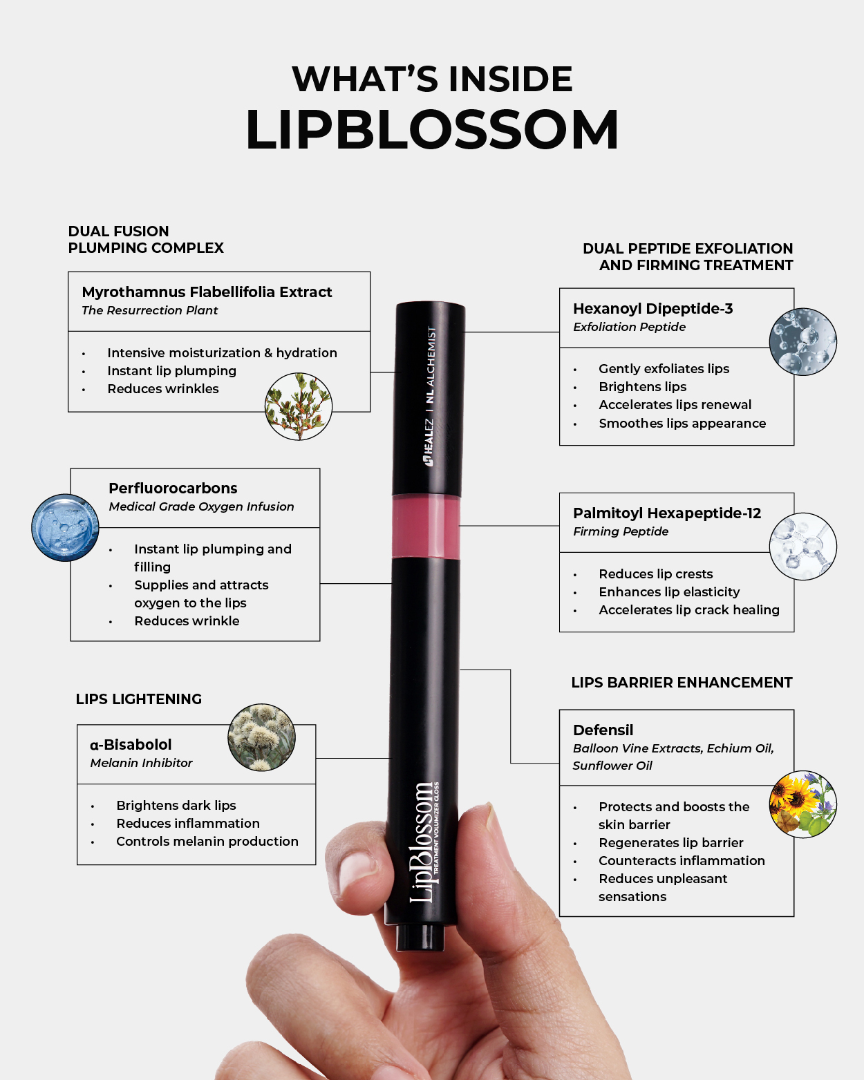 LipBlossom Details Website-02