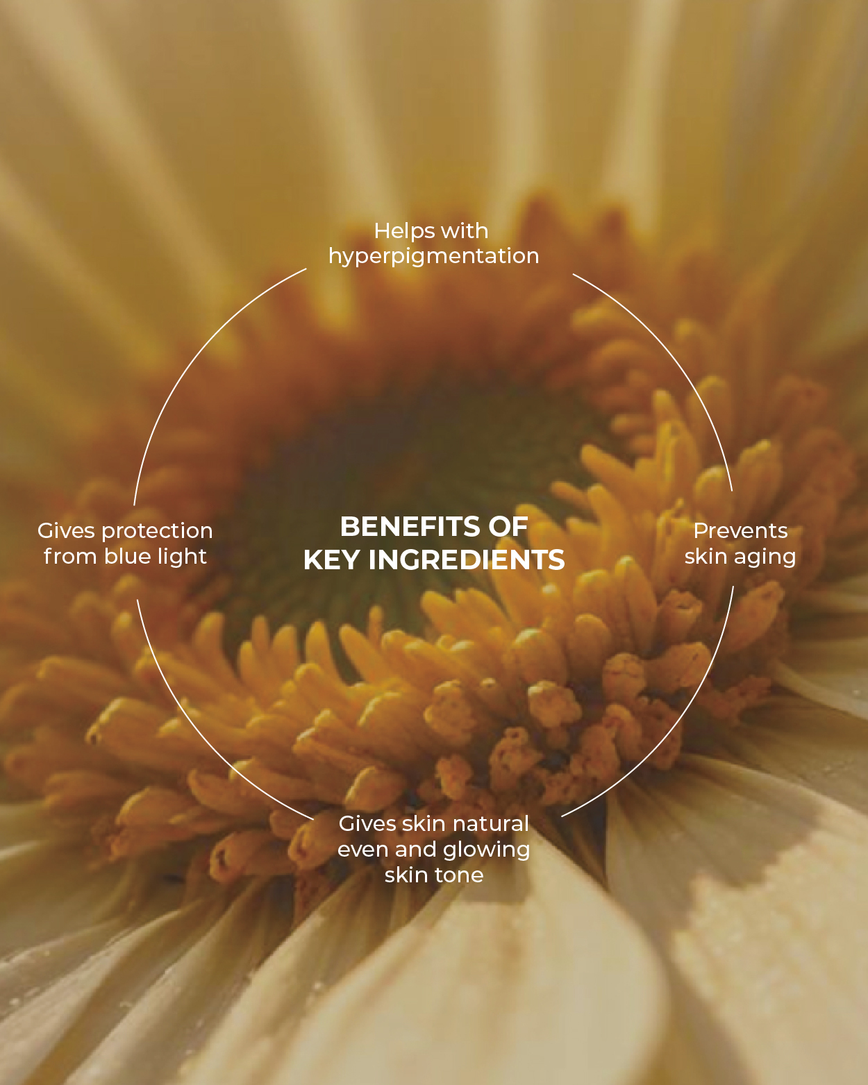 Tinted Sunscreen Product Details Website-09