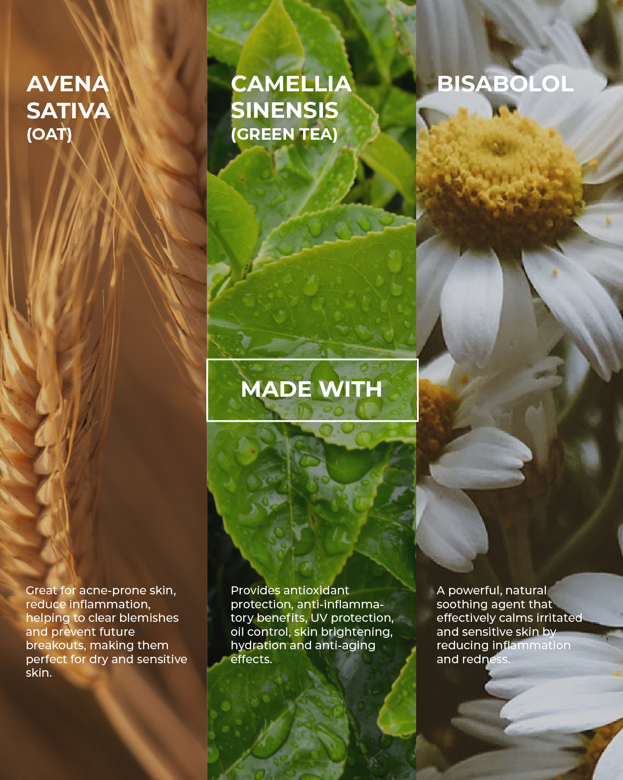 Tinted Sunscreen Product Details Website-08