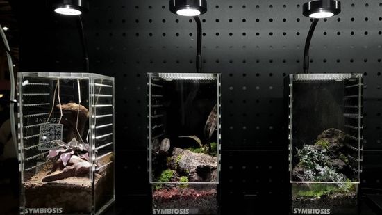 HOUSEPLANT | 共生制所 Symbiosis Studio