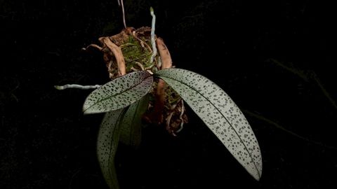 LINE_ALBUM_2026513_260513_8