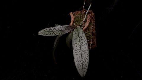 LINE_ALBUM_2026513_260513_12