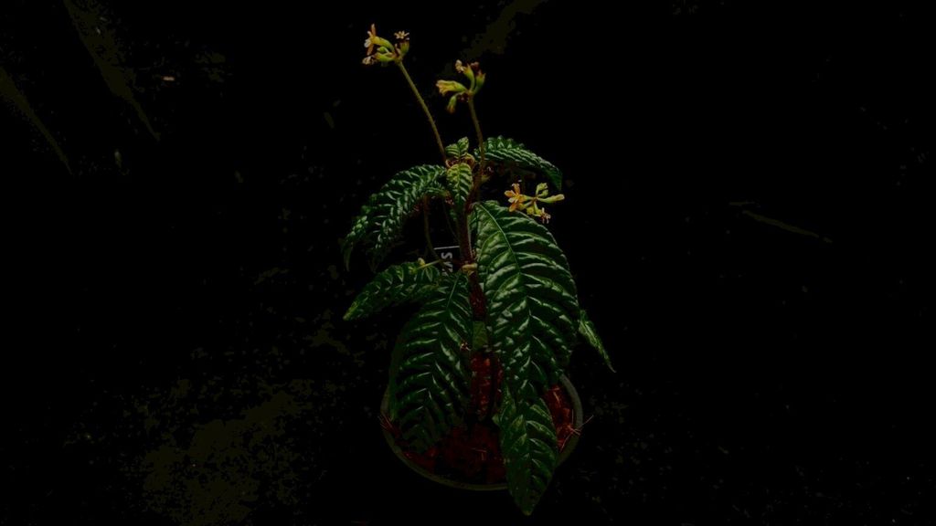 LINE_ALBUM_2026513_260513_90