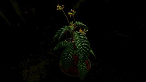LINE_ALBUM_2026513_260513_90