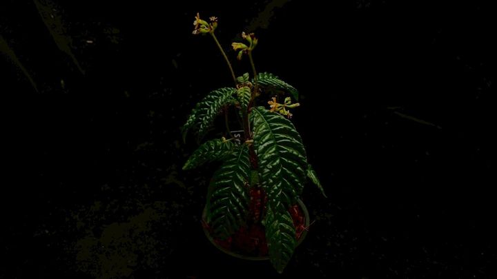 LINE_ALBUM_2026513_260513_90