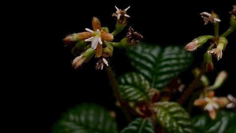 LINE_ALBUM_2026513_260513_86