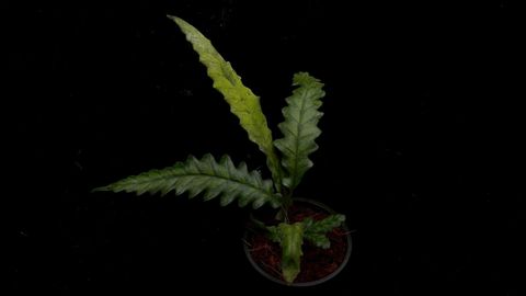 LINE_ALBUM_2026513_260513_5