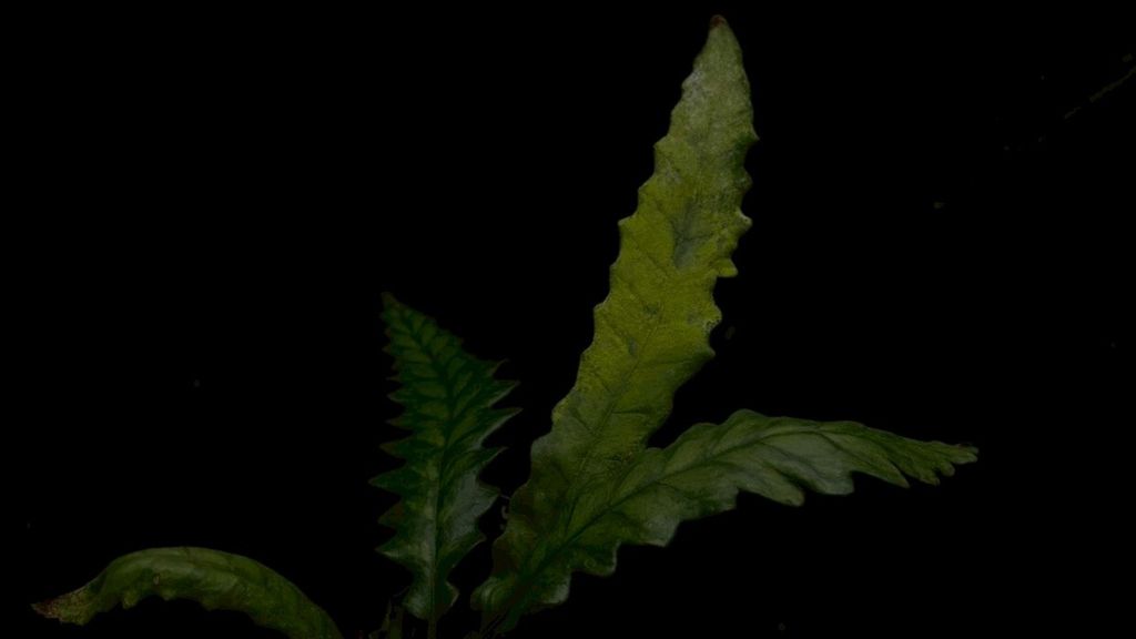 LINE_ALBUM_2026513_260513_10