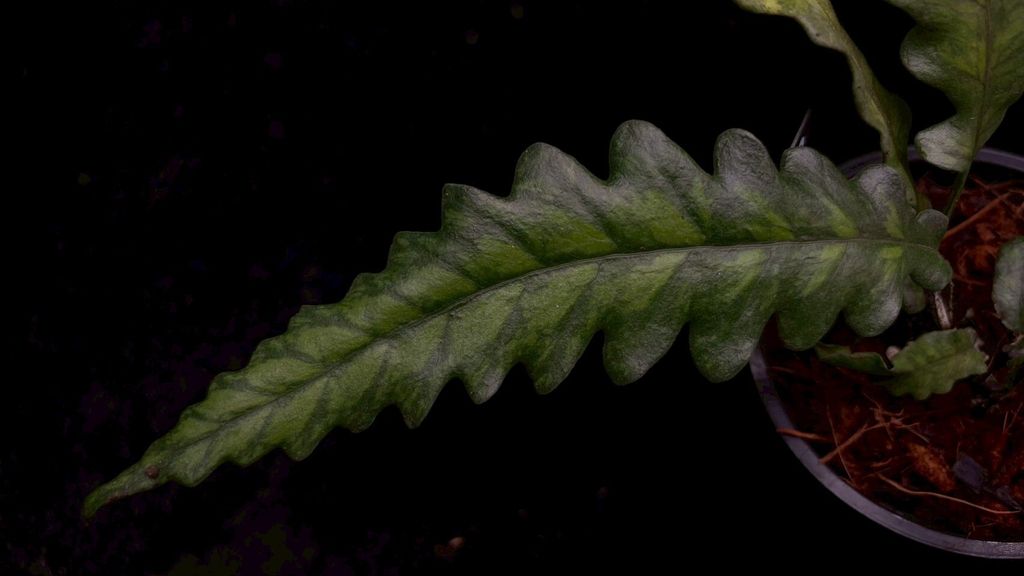 LINE_ALBUM_2026513_260513_6