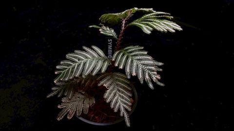 LINE_ALBUM_2026513_260513_94
